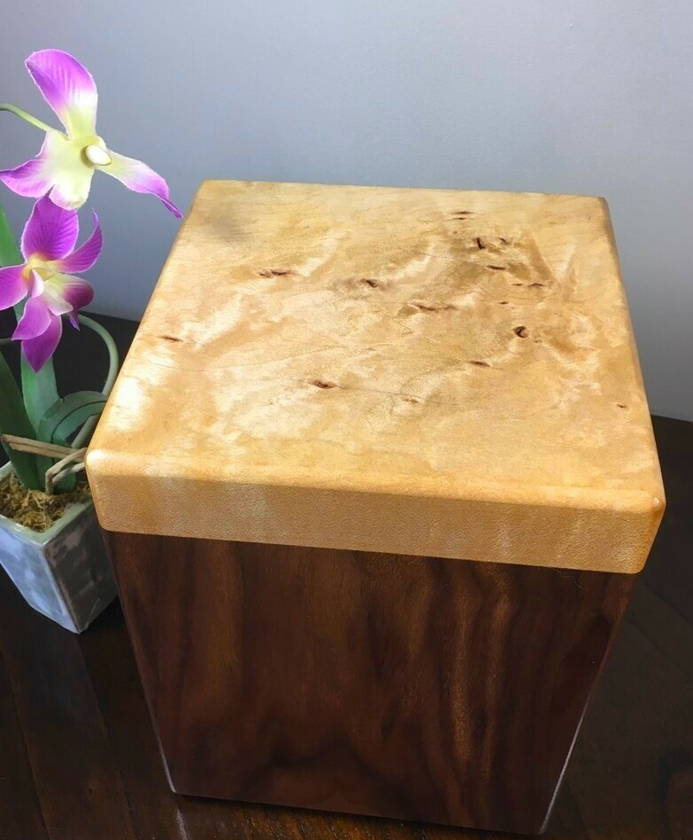 Top view of a black walnut and figured maple wooden cremation urn