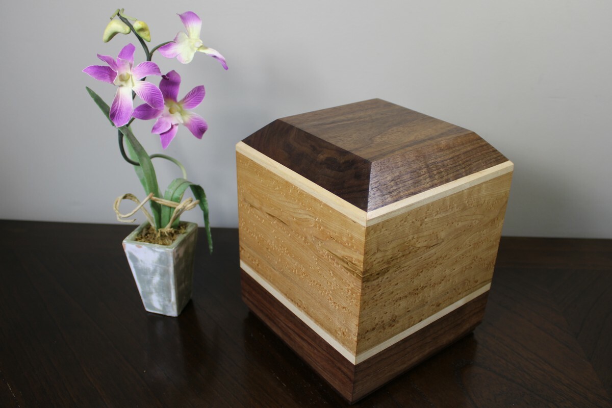 Bird's Eye Maple & Black Walnut