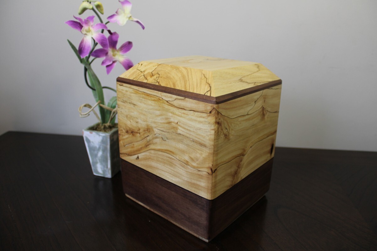 Spalted Elm & Black Walnut