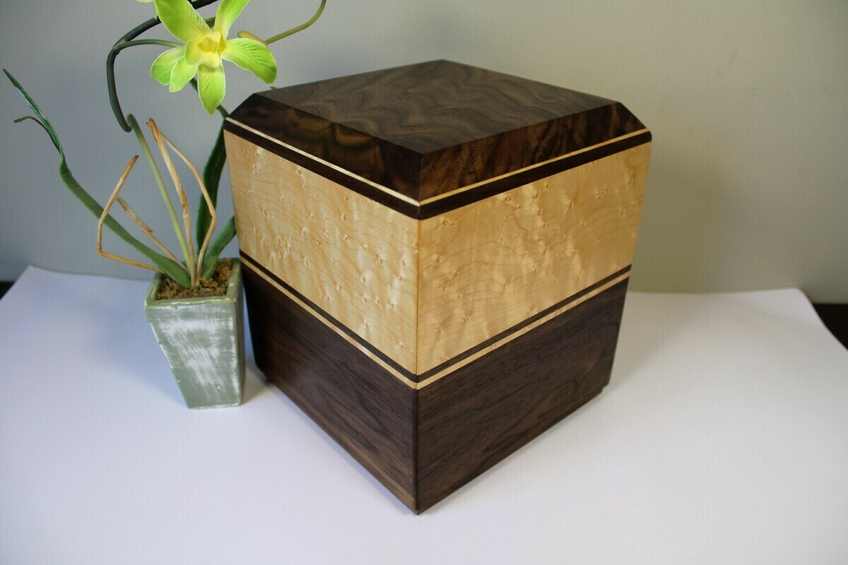 Black Walnut & Bird's Eye Maple